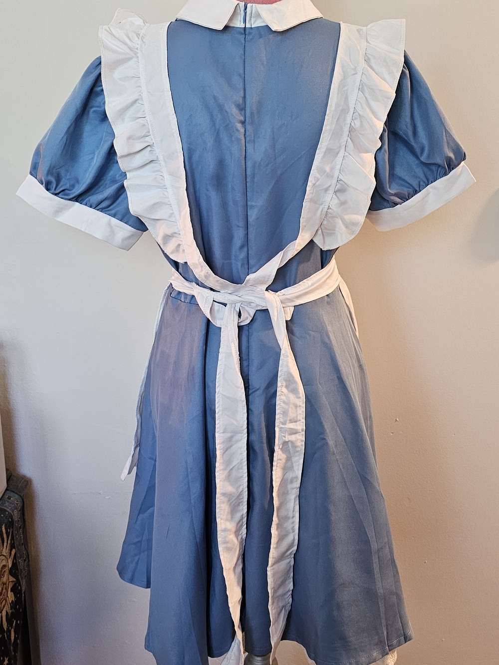 Alice In Wonderland Costume - Picture 3 of 12